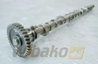 Nockenwelle für Motor Isuzu 6HK1 8943904691