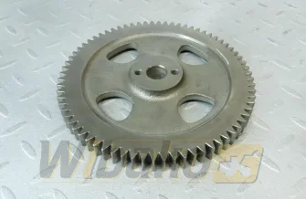 Einspritzpumpenzahnrad Iveco 4896616