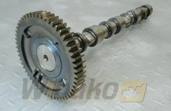 Nockenwelle für Motor Deutz TCD3.6 L4 04125160