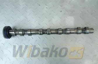 Nockenwelle für Motor Isuzu AI-4JJ1XYSJ-01 100322248