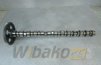 Nockenwelle für Motor Cummins LT10 3895809