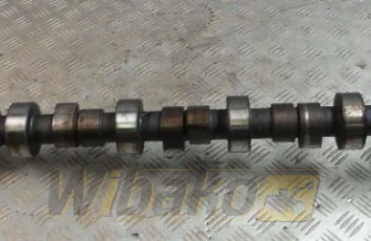 Nockenwelle Caterpillar C7 173-5999/3337228