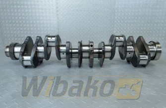 Kurbelwelle für Motor Cummins 8.3 3917320