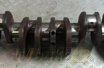 Kurbelwelle Iveco 2830478