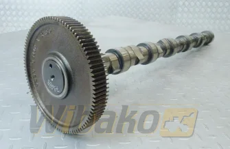 Nockenwelle für Motor Deutz TCD2013 L06 2V 04511872