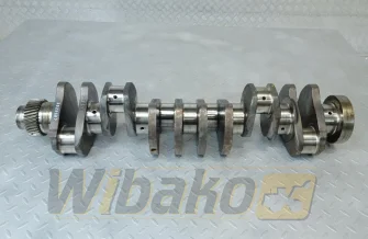 Kurbelwelle für Motor Cummins 5.9 3929037