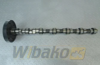 Nockenwelle für Motor Deutz TCD2013 L06 2V 04291070