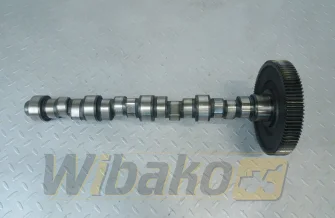 Nockenwelle für Motor Deutz BF4M1013 04255481