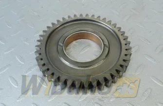 Zwischenzahnrad für Motor Man D2066 51.04505-3065