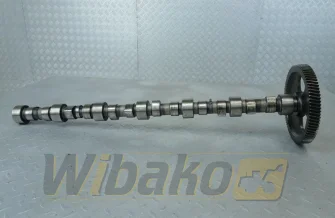 Nockenwelle für Motor Cummins 8.3 3924471