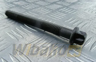 Zylinderkopfschraube M14x2x140mm wbk 04202005