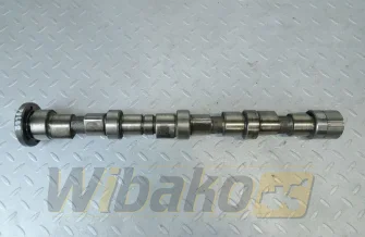 Nockenwelle Cummins 3977547