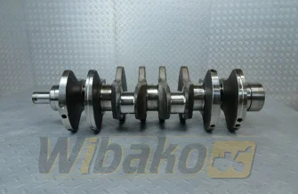 Kurbelwelle für Motor Liebherr D924 3020636