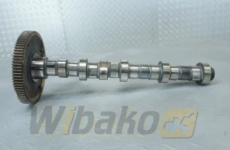Nockenwelle für Motor Deutz TCD2012 L04 2V 04511876