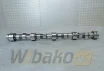 Nockenwelle M20 für Motor Liebherr D924 9882797 – gebraucht