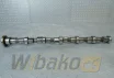 Nockenwelle für Motor Cummins QSB6.7 3979506 – gebraucht