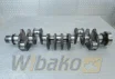 Kurbelwelle für Motor Cummins QSB6.7 5301008 – gebraucht