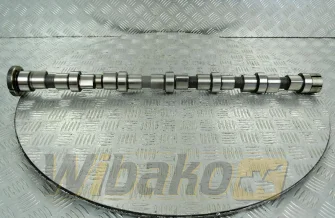 Nockenwelle für Motor Cummins QSB6.7 3979506