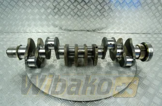 Kurbelwelle für Motor Cummins QSB6.7 5301008