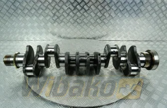 Kurbelwelle für Motor Cummins QSB6.7 5301011