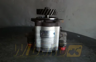 Zahnpumpe Sauer 31863197 