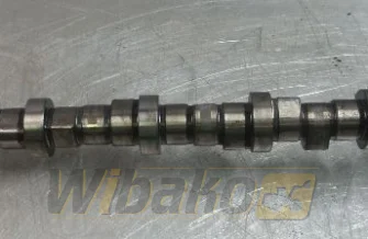 Nockenwelle Volvo D6D 04252873