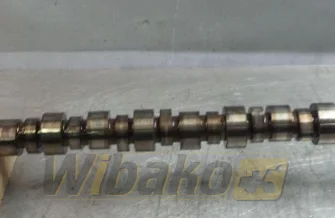 Nockenwelle Cummins QSM11 33202R3