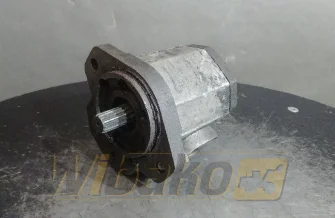 Zahnpumpe Hydraulics 3L50DC189 C2/15