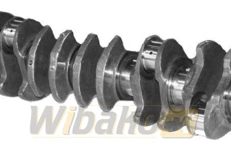 Kurbelwelle für Motor Deutz BF6M1013 04202150RG