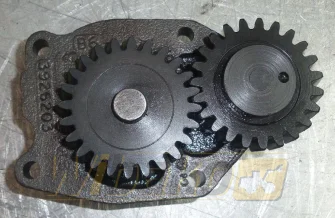 Ölpumpe für Motor Case 6T-590 3926203