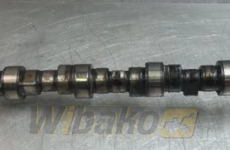 Nockenwelle für Motor Deutz BF6M1013 04202615