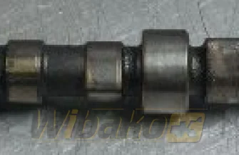 Nockenwelle Cummins 3935715