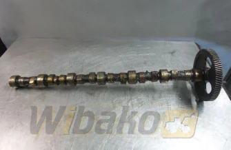 Nockenwelle für Motor Cummins 8.3 3924471-2