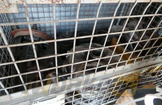 Getriebe Zf 4WG-200 4644024058
