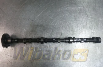 Nockenwelle VM Motori 27B/4 P6N56