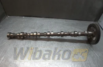 Nockenwelle für Motor Case 6T-590 3914639