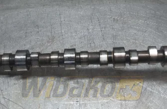 Nockenwelle Cummins 3966431