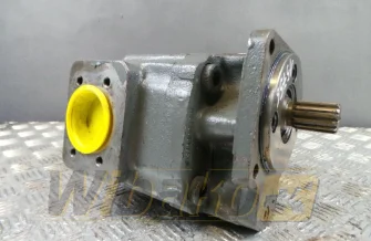 Zahnpumpe David Brown R1C8187/044701BC 