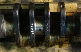 Kurbelwelle Cummins 5.9 3945258