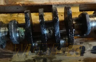 Kurbelwelle für Motor Cummins 5.9 3907804