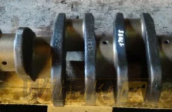 Kurbelwelle für Motor Cummins 5.9 3915258