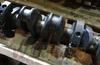 Kurbelwelle Deutz BF6L913 