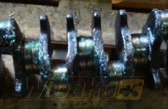 Kurbelwelle für Motor Deutz BF6M1012 04204215R