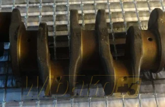 Kurbelwelle für Motor Caterpillar 3114 7W9944