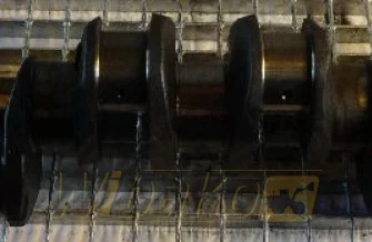 Kurbelwelle Perkins Y6 
