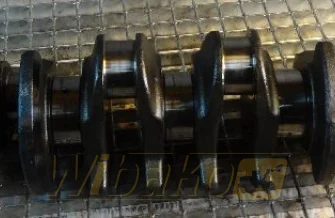 Kurbelwelle für Motor Deutz BF6M1013 04202150RG