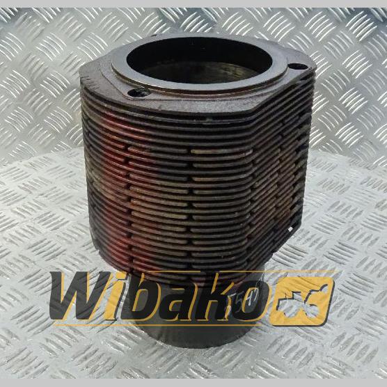 Cylinder Detz 02406631